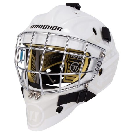 Warrior Ritual F1 Youth Goalie Mask